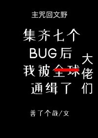 集齐七个BUG后我被大佬们通缉了